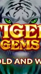 Tiger Gems Hold and Win